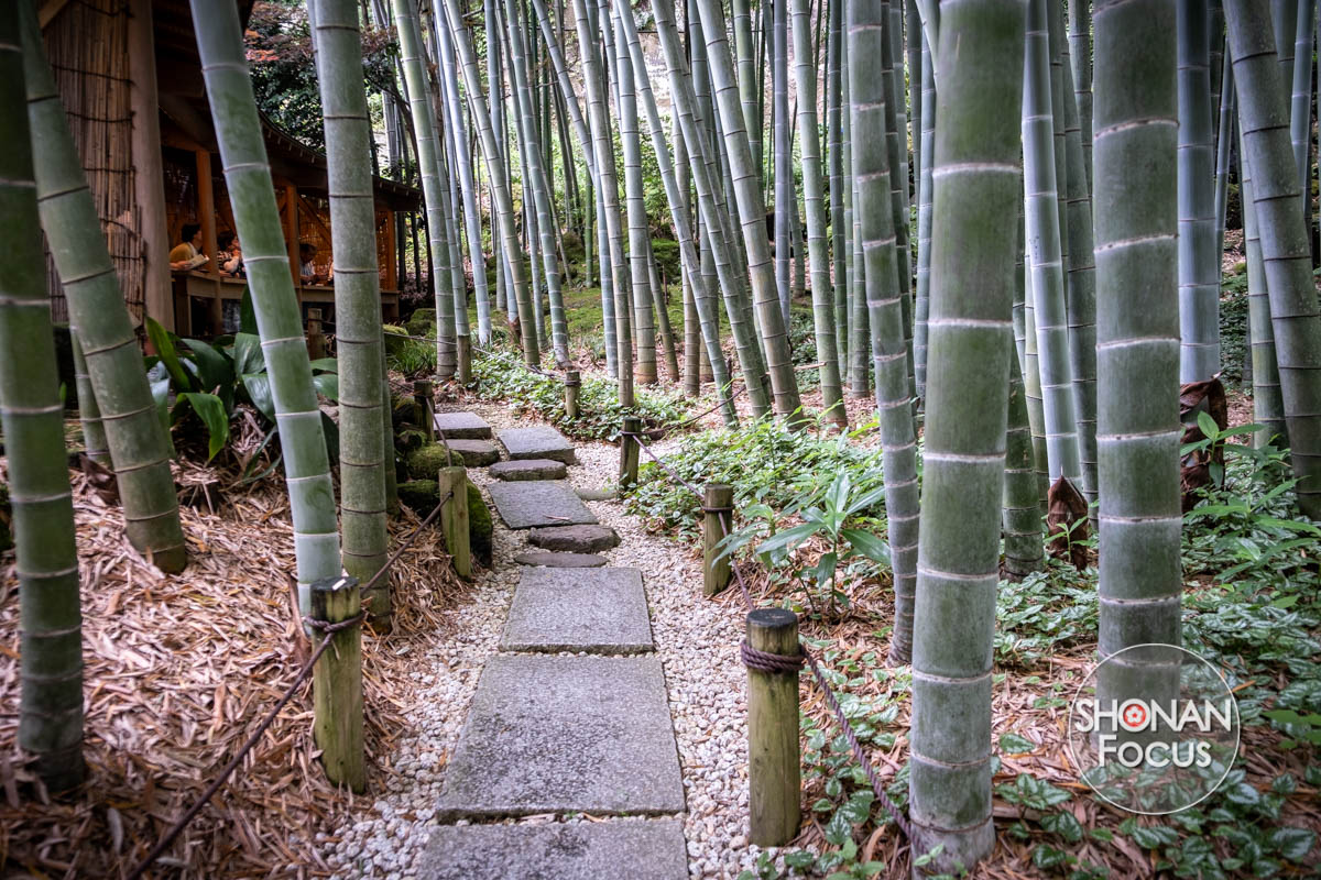 temple des bambous Hokoku ji kamakura