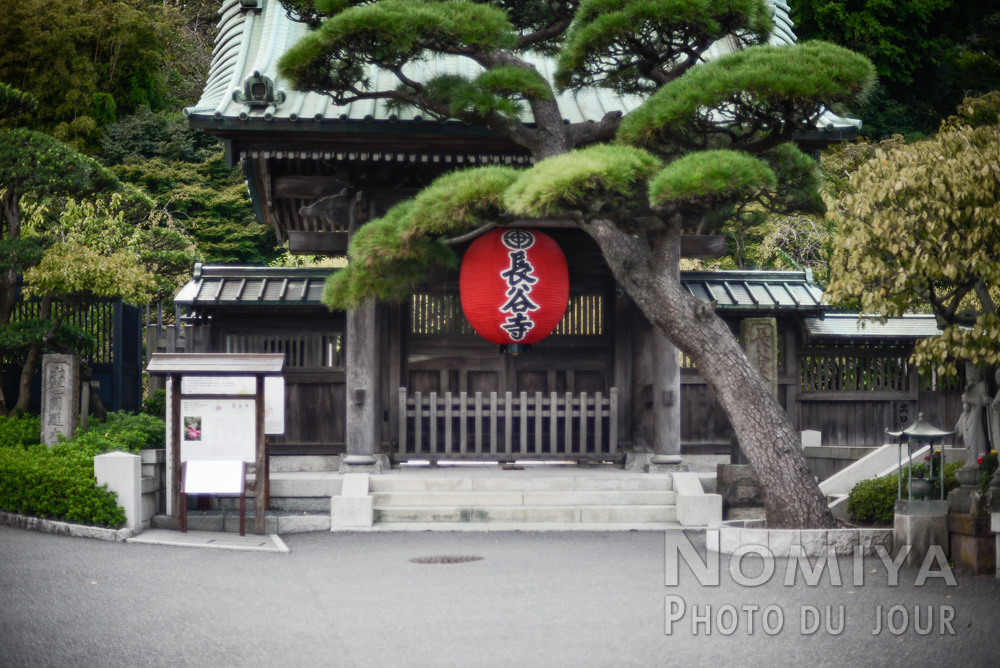 Temple de Hasedera à Kamakura