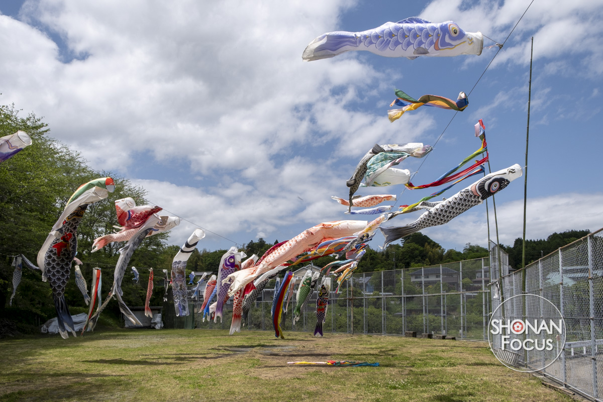 koinobori carpes en tissu