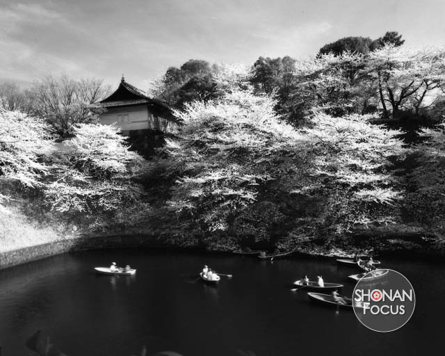 Editorial Photography