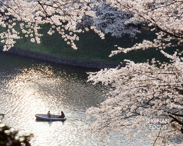 Editorial Photography