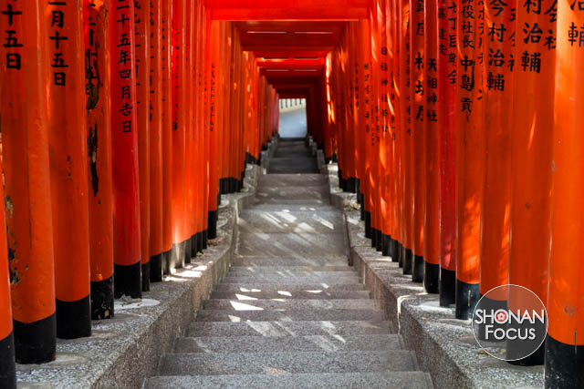 Editorial Photography