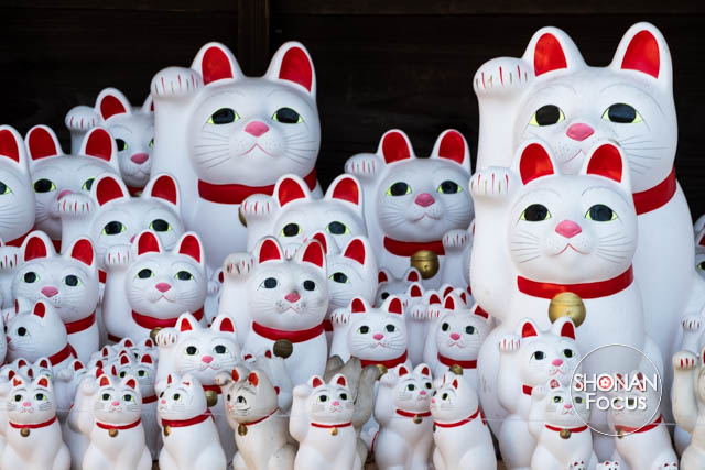 Editorial Photography