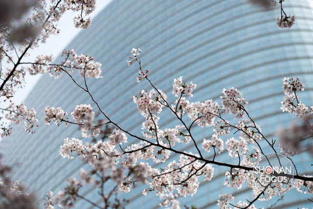 Editorial Photography