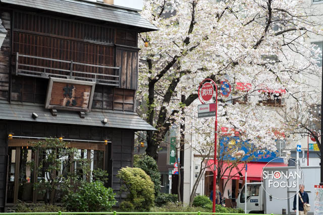 Editorial Photography