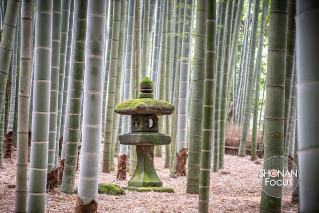 Editorial Photography