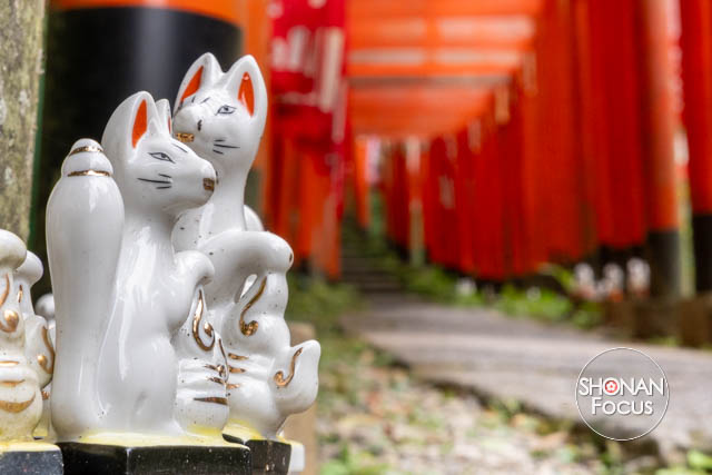 Editorial Photography