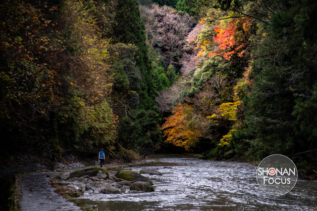 Editorial Photography