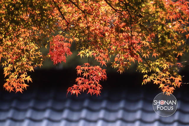 Editorial Photography